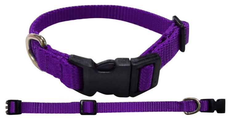 Showman Couture Large Nylon dog collar #3